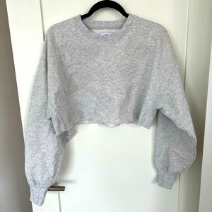 Aritzia Cozy Fleece Perfect Cropped Sweatshirt